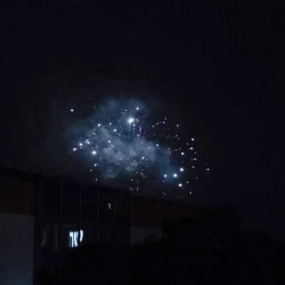 喵苏鲁侦探手游